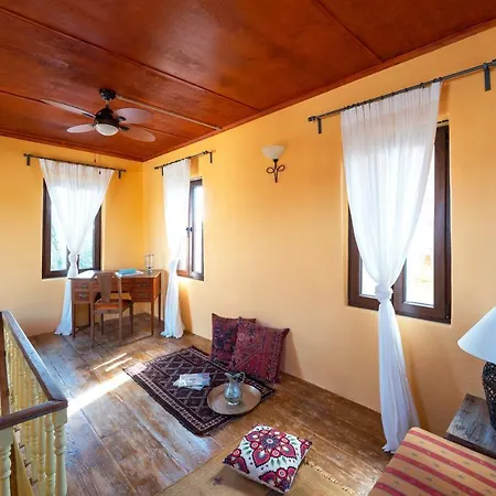 Vakantiehuis The Ottoman Manor *